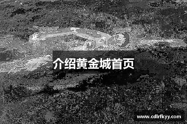 介绍黄金城首页